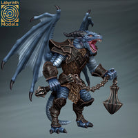 Laby-241101 Dragon Champion