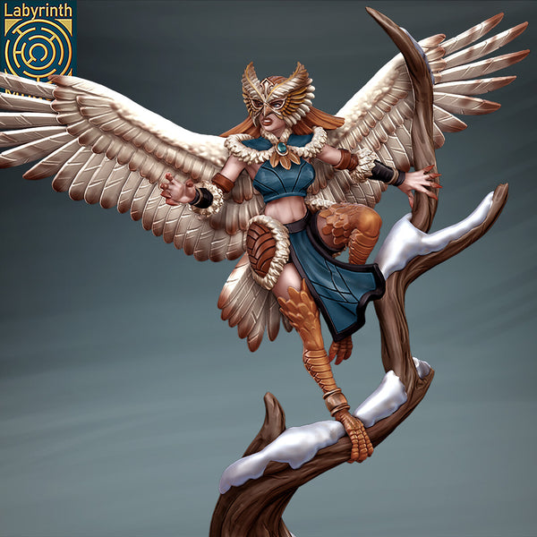 Laby-250623 Snow Harpy 3