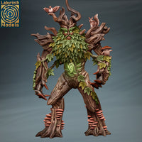 Laby-230724 Tree Spirit