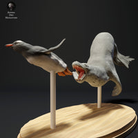 Anml-230703 leo seal hunting gentoo penguin