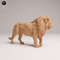 Anml-250805 lion(ライオン)