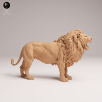 Anml-250807 lion roar(ライオン)