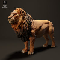 Anml-230807 lion