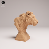 Anml-250809 lion subadult bust(ライオン)