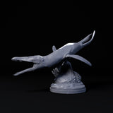 Dind-240503 Liopleurodon turning