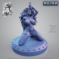 Raw-230901 Akira - Dark Elf Pin-Up