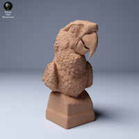 Anml-240407 scarlet macaw bust
