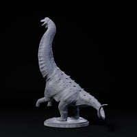 Dind-240603 Magyarosaurus rear up