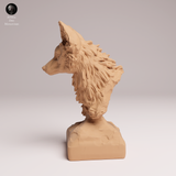 Anml-251203 Maned Wolf bust（タテガミオオカミ）