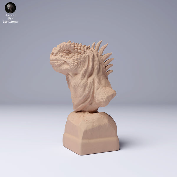 Anml-240809 Marine iguana bust (ウミイグアナ)