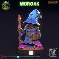Ccm-250608 Mushroom Moroak