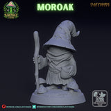 Ccm-250608 Mushroom Moroak