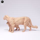 Anml-250107 mountain lion with cub（クーガー）