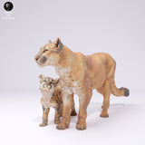 Anml-250107 mountain lion with cub（クーガー）