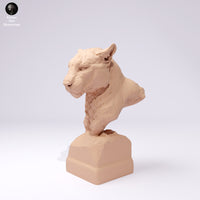 Anml-250105 mountain lion bust（クーガー）