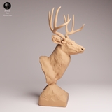 Anml-260106 Mule deer bust（ミュールジカ）