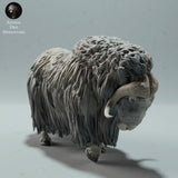 Anml-221205 Musk Ox