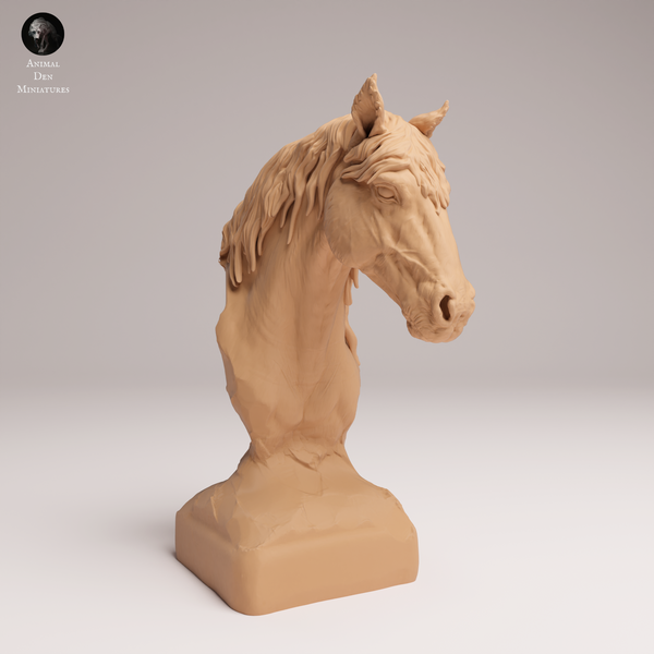 Anml-250908 mustang bust