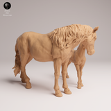 Anml-250910 Mustang female and calf