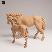 Anml-250910 Mustang female and calf