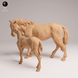 Anml-250910 Mustang female and calf