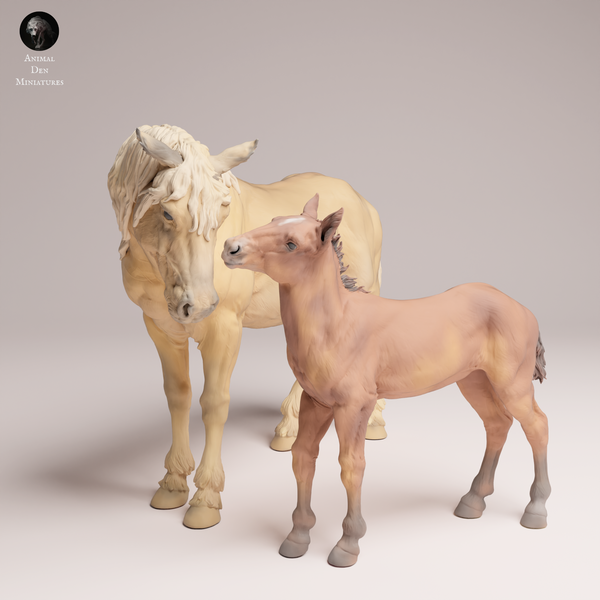 Anml-250910 Mustang female and calf
