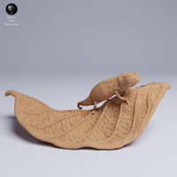 Anml-250506 nosy hara leaf chameleon（ミクロヒメカメレオン）
