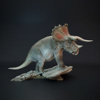 DinD-220901 Triceratops old bull dinosaur