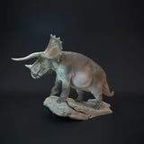 DinD-220901 Triceratops old bull dinosaur