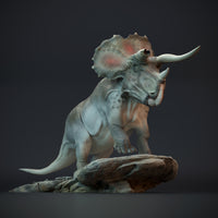 DinD-220901 Triceratops old bull dinosaur