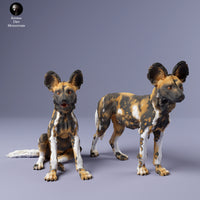 Anml-240210 painted dog pups（リカオン）