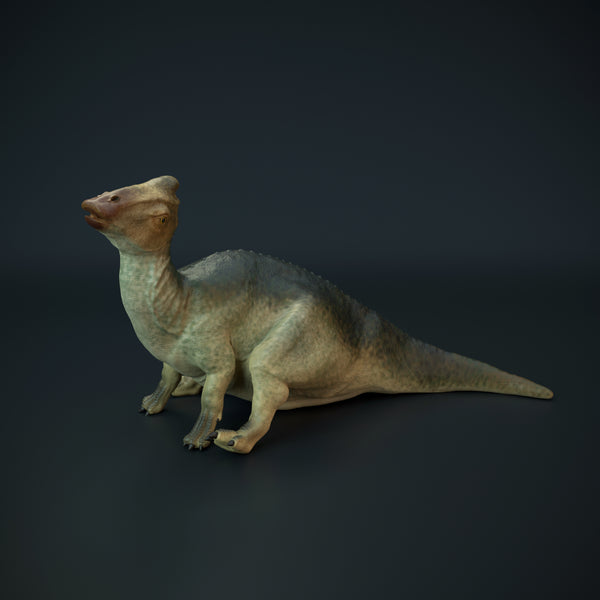 DinD-220701 baby parasaurolophus sitting