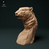 Anml-231209 polar bear bust