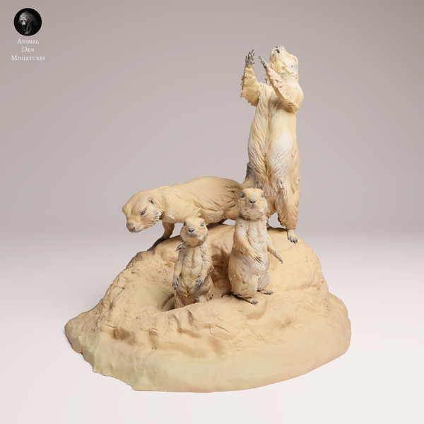 Anml-250913 prairie dog(プレーリードッグ)