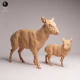 Anml-260110 pudu doe and fawn（プーズー）