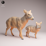 Anml-260110 pudu doe and fawn（プーズー）