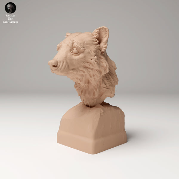 Anml-240903 Raccoon bust