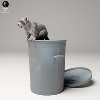 Anml-240904 Raccoon in trash