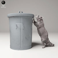 Anml-240906 Raccoon standing trash can