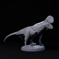 Dind-240610 Rajasaurus couple