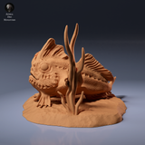 Anml-260906 Red Handfish（レッドハンドフィッシュ）