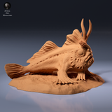 Anml-260906 Red Handfish（レッドハンドフィッシュ）