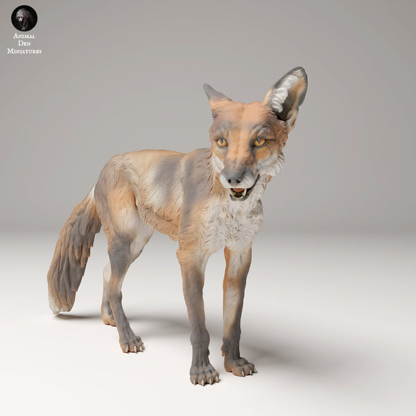 Anml-240907 Red fox