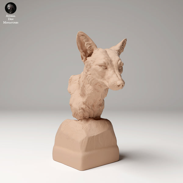 Anml-240908 Red fox bust