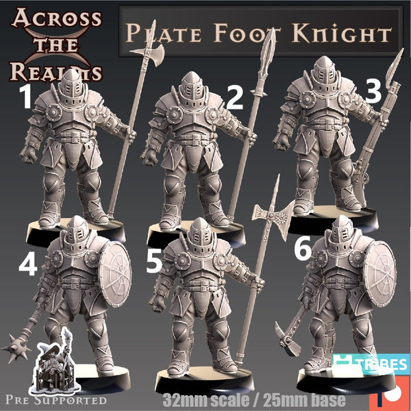 Acr-220704 plate foot knight