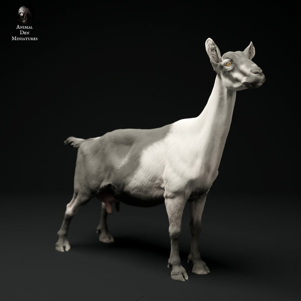 Anml-ks0104 Alpine Goat