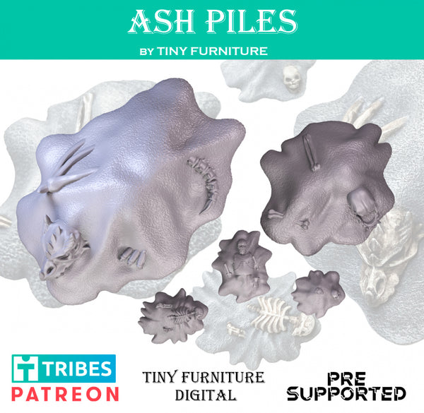 Tnyf-221204 Ash Piles