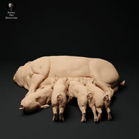 Anml-ks0114 Berkshire Pig and Piglets