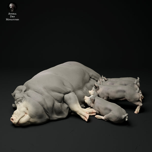 Anml-ks0114 Berkshire Pig and Piglets