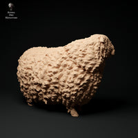 Anml-ks0122 Devon and Cornwall Longwool Ram 2